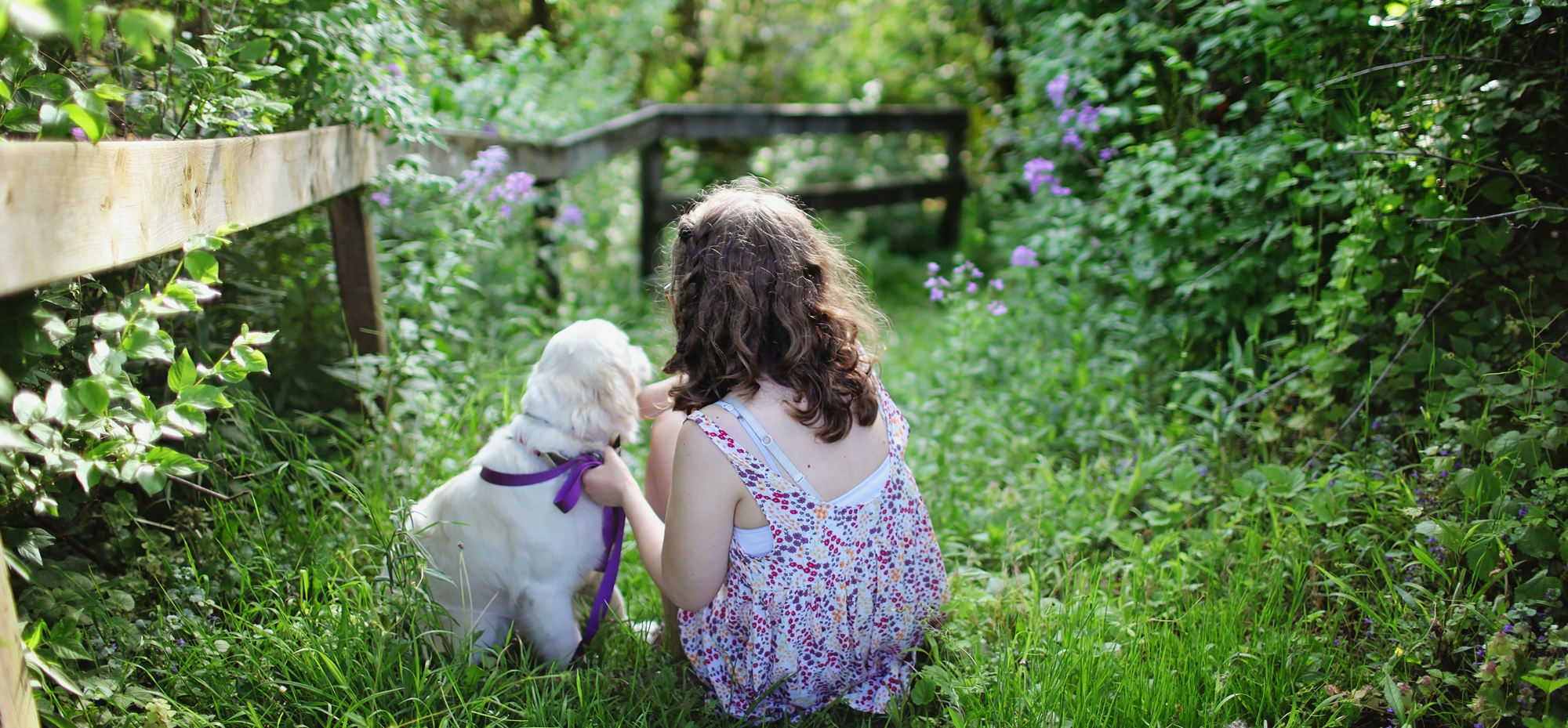 The Parlay Effect: How Female Connection Can Change The World by Anne Devereux-Mills